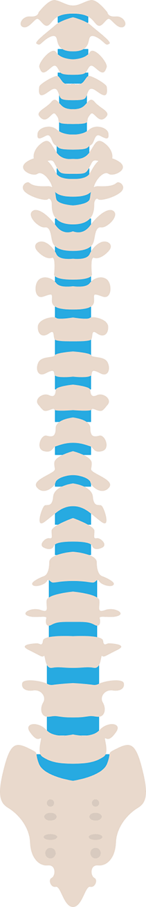 Small Spine Graphic | Amarillo Chiropractor | New Life Chiropractic